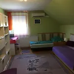 Pensjonat Katalin Vendeghaz 3*